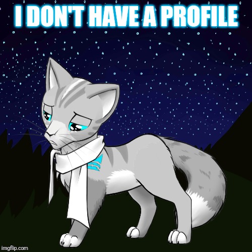 I DON'T HAVE A PROFILE | made w/ Imgflip meme maker