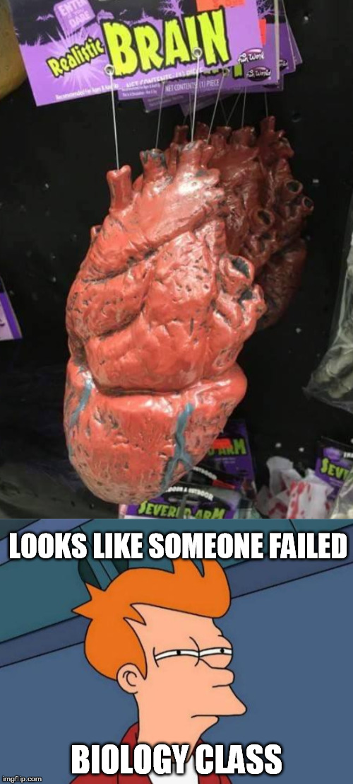 Seems legit | LOOKS LIKE SOMEONE FAILED; BIOLOGY CLASS | image tagged in memes,futurama fry,brain,heart,seems legit,biology | made w/ Imgflip meme maker