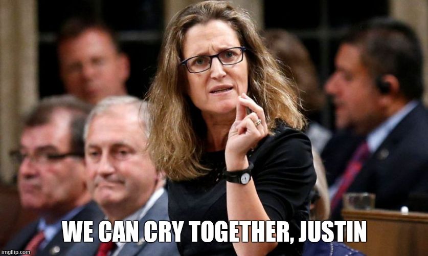 freeland | WE CAN CRY TOGETHER, JUSTIN | image tagged in freeland | made w/ Imgflip meme maker