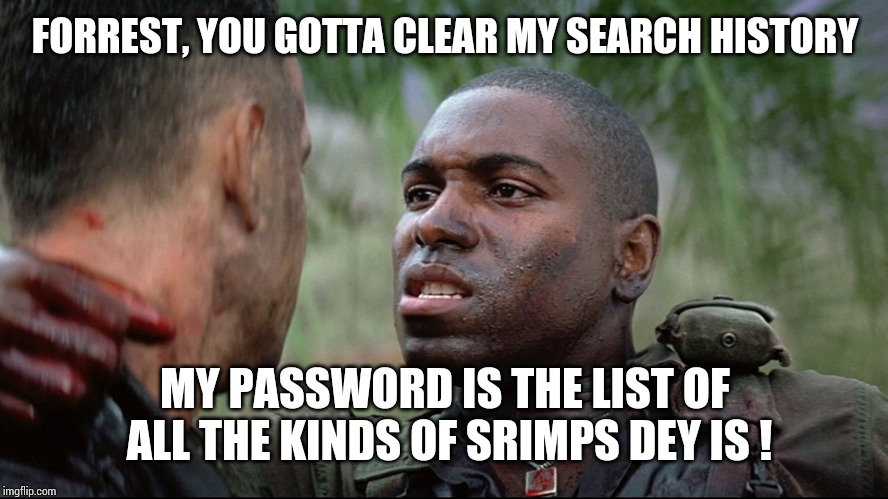 Forrest Gump Bubba | FORREST, YOU GOTTA CLEAR MY SEARCH HISTORY MY PASSWORD IS THE LIST OF ALL THE KINDS OF SRIMPS DEY IS ! | image tagged in forrest gump bubba | made w/ Imgflip meme maker