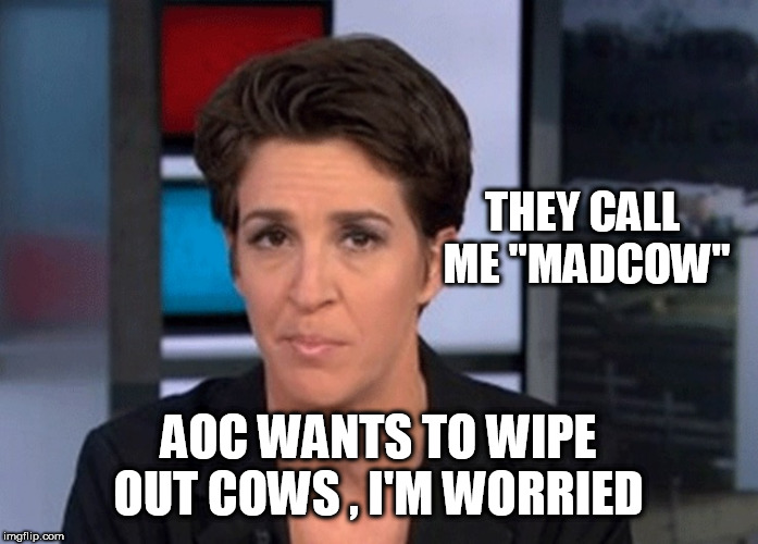 Rachel Maddow  | THEY CALL ME "MADCOW"; AOC WANTS TO WIPE OUT COWS , I'M WORRIED | image tagged in rachel maddow | made w/ Imgflip meme maker