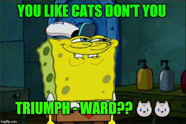 Don't You Squidward Meme | YOU LIKE CATS DON'T YOU TRIUMPH - WARD?? ?? | image tagged in memes,dont you squidward | made w/ Imgflip meme maker