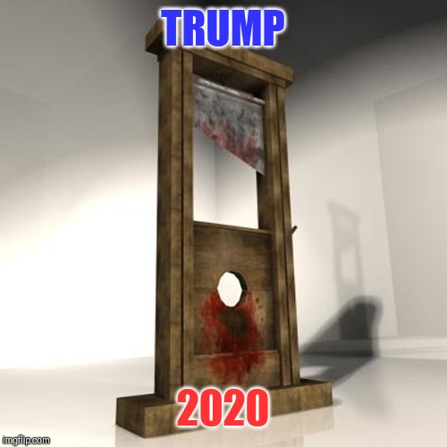 guillotine | TRUMP; 2020 | image tagged in guillotine | made w/ Imgflip meme maker