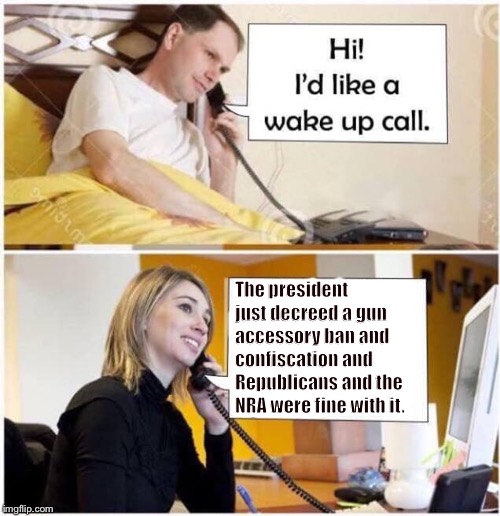 If a Democrat had initiated the bump stock ban, conservatives would be marching on Washington. But Trump did it so no biggie. | The president just decreed a gun accessory ban and confiscation and 
Republicans and the NRA were fine with it. | image tagged in wake up call - 2 panel | made w/ Imgflip meme maker