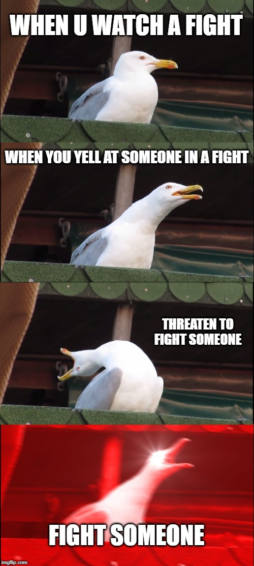 Inhaling Seagull | WHEN U WATCH A FIGHT; WHEN YOU YELL AT SOMEONE IN A FIGHT; THREATEN TO FIGHT SOMEONE; FIGHT SOMEONE | image tagged in memes,inhaling seagull | made w/ Imgflip meme maker