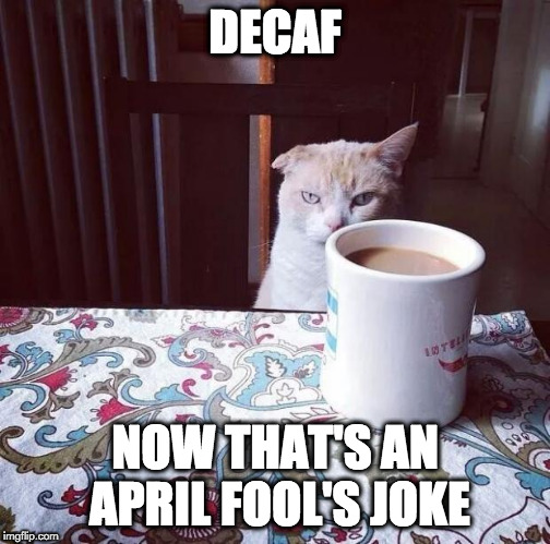 The joke that never left us. | DECAF; NOW THAT'S AN APRIL FOOL'S JOKE | image tagged in cat doesn't like this coffee,coffee,decafe,april fools | made w/ Imgflip meme maker