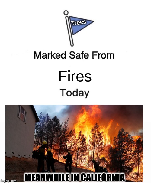 Marked Safe From Meme | Trees; Fires; MEANWHILE IN CALIFORNIA | image tagged in memes,marked safe from | made w/ Imgflip meme maker