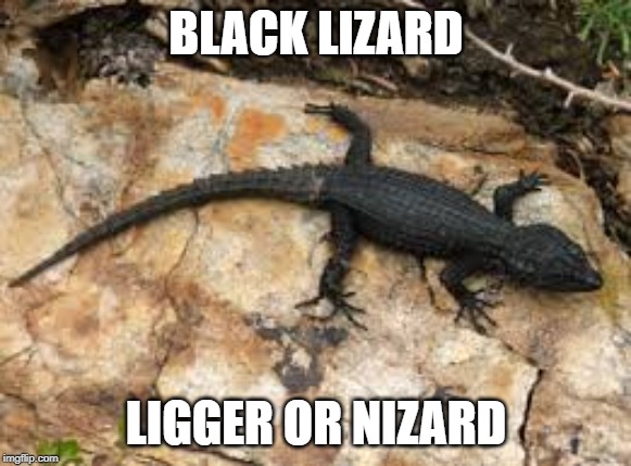 BLACK LIZARD; LIGGER OR NIZARD | image tagged in black lizard | made w/ Imgflip meme maker