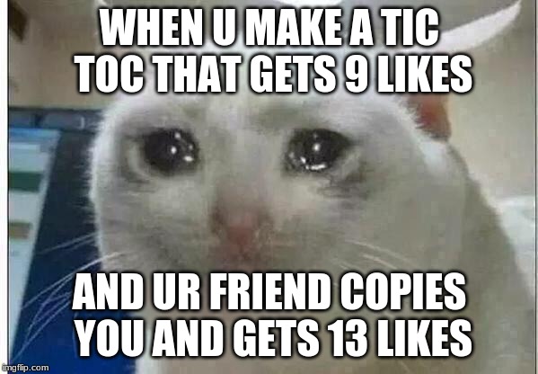crying cat | WHEN U MAKE A TIC TOC THAT GETS 9 LIKES; AND UR FRIEND COPIES YOU AND GETS 13 LIKES | image tagged in crying cat | made w/ Imgflip meme maker