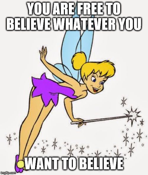 Tinkerbell | YOU ARE FREE TO BELIEVE WHATEVER YOU WANT TO BELIEVE | image tagged in tinkerbell | made w/ Imgflip meme maker