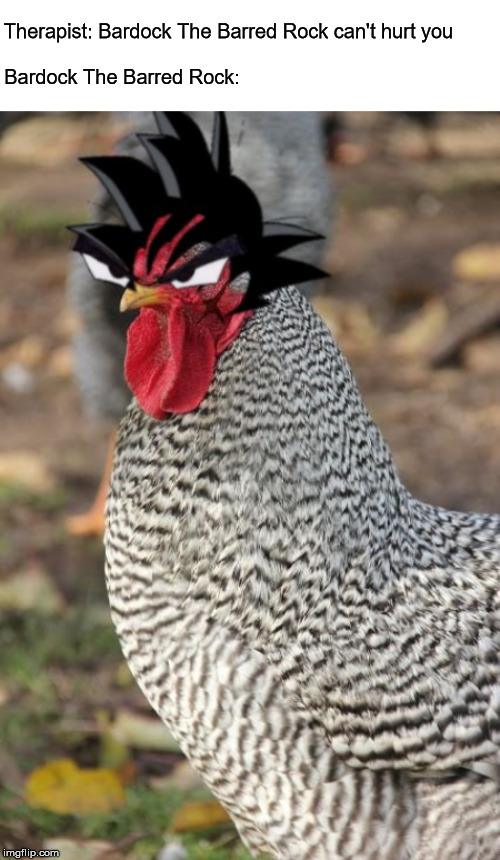 Bardock The Barred Rock | Therapist: Bardock The Barred Rock can't hurt you; Bardock The Barred Rock: | image tagged in dragon ball z | made w/ Imgflip meme maker