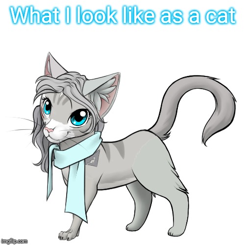 What I look like as a cat | made w/ Imgflip meme maker