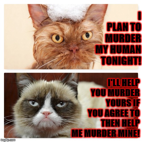 I PLAN TO MURDER MY HUMAN TONIGHT! I'LL HELP YOU MURDER YOURS IF YOU AGREE TO THEN HELP ME MURDER MINE! | image tagged in murder the human | made w/ Imgflip meme maker