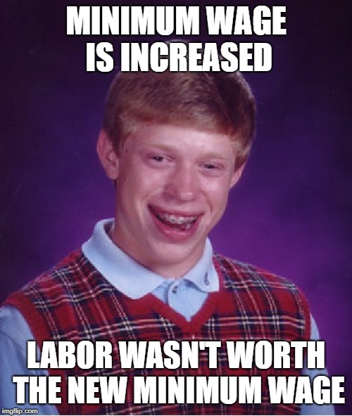 Brian Gets Fired | MINIMUM WAGE IS INCREASED; LABOR WASN'T WORTH THE NEW MINIMUM WAGE | image tagged in memes,bad luck brian,unemployment,economics,minimum wage | made w/ Imgflip meme maker