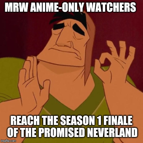 Pacha perfect | MRW ANIME-ONLY WATCHERS; REACH THE SEASON 1 FINALE OF THE PROMISED NEVERLAND | image tagged in pacha perfect | made w/ Imgflip meme maker