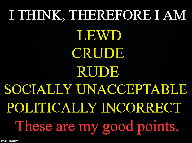 I think, therefore I am | I THINK, THEREFORE I AM; LEWD; CRUDE; RUDE; SOCIALLY UNACCEPTABLE; POLITICALLY INCORRECT; These are my good points. | image tagged in lewd,crude,rude,socially unacceptble,politically incorrect | made w/ Imgflip meme maker