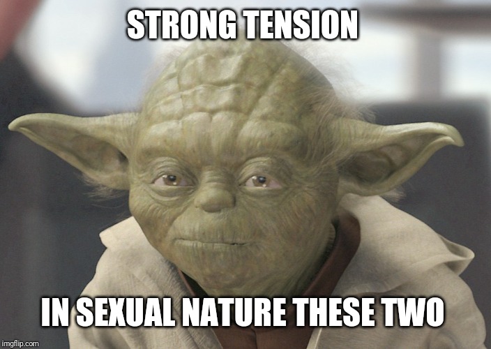 The __ is strong with this one | STRONG TENSION IN SEXUAL NATURE THESE TWO | image tagged in the __ is strong with this one | made w/ Imgflip meme maker