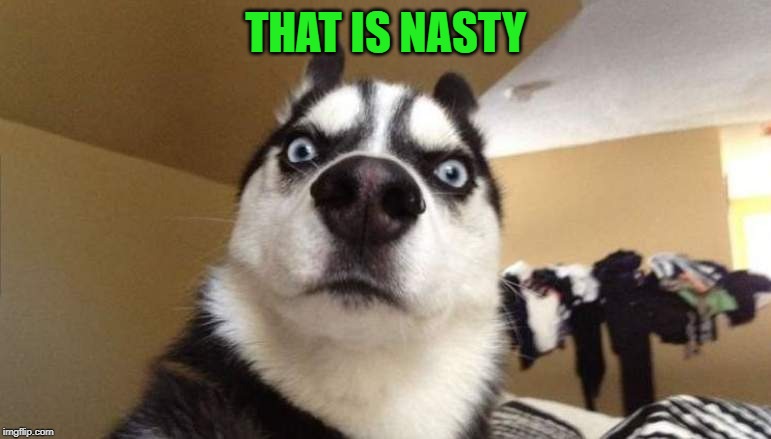 wtf | THAT IS NASTY | image tagged in wtf | made w/ Imgflip meme maker