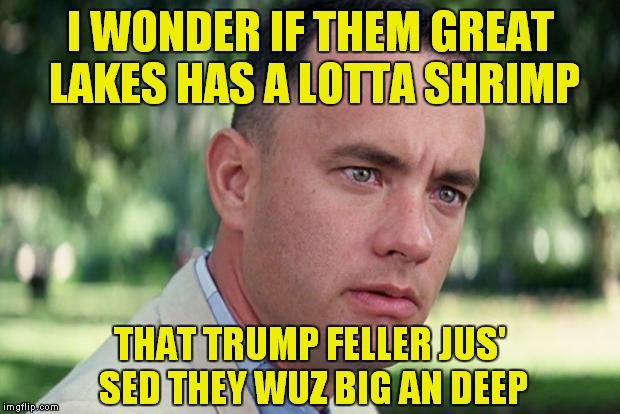 Donald Trump Thinks Record Deepness Is A Dirty Movie.. | I WONDER IF THEM GREAT LAKES HAS A LOTTA SHRIMP; THAT TRUMP FELLER JUS' SED THEY WUZ BIG AN DEEP | image tagged in forrest gump,donald trump | made w/ Imgflip meme maker