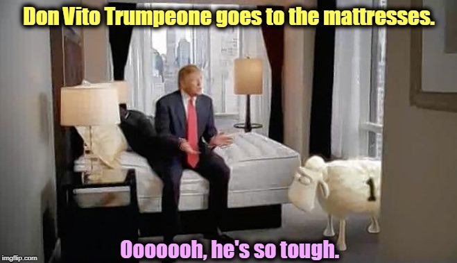 Don Vito Trumpeone goes to the mattresses. Ooooooh, he's so tough. | image tagged in trump,godfather,mattresses,tough | made w/ Imgflip meme maker