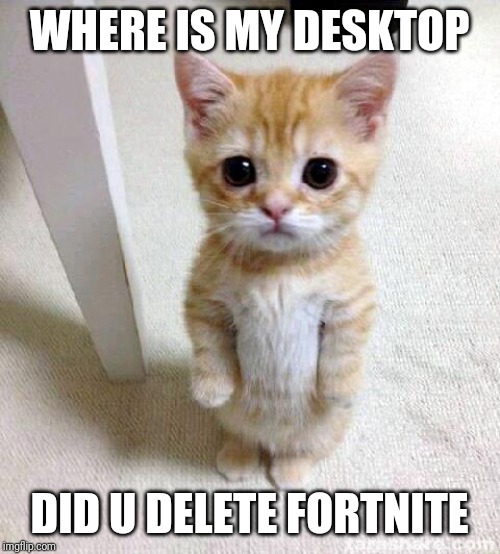 Cute Cat Meme | WHERE IS MY DESKTOP; DID U DELETE FORTNITE | image tagged in memes,cute cat | made w/ Imgflip meme maker
