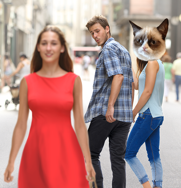 Distracted boyfriend grumpy cat Blank Meme Template