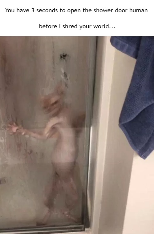Don't turn your back on a wet kitty | You have 3 seconds to open the shower door human; before I shred your world... | image tagged in cat,angry cat,angry wet cat,funny cat memes | made w/ Imgflip meme maker