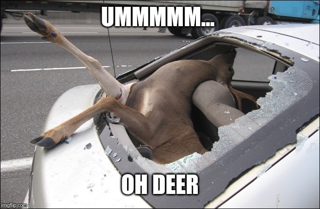 UMMMMM... OH DEER | image tagged in deer me | made w/ Imgflip meme maker