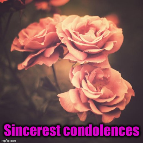 Beautiful Vintage Flowers | Sincerest condolences | image tagged in beautiful vintage flowers | made w/ Imgflip meme maker