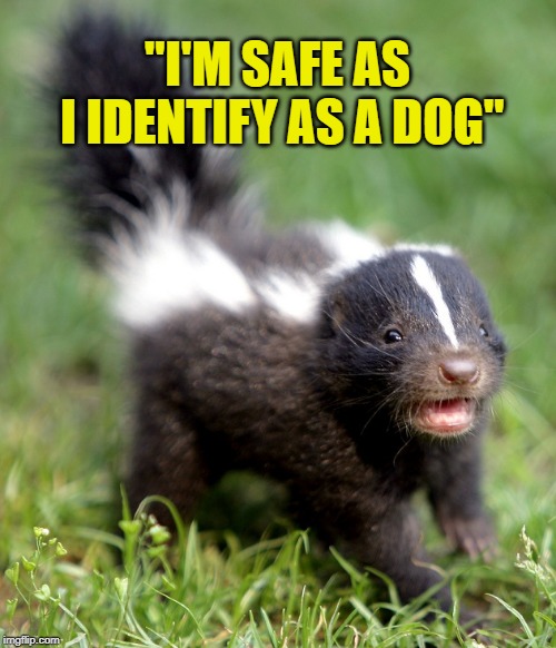 "I'M SAFE AS I IDENTIFY AS A DOG" | made w/ Imgflip meme maker