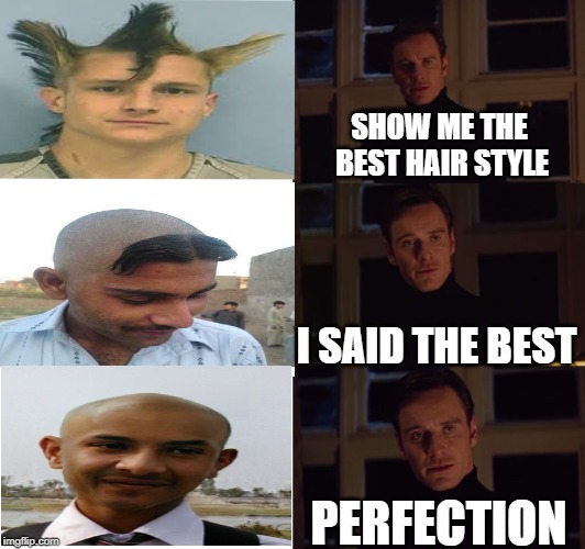 perfection | SHOW ME THE BEST HAIR STYLE; I SAID THE BEST; PERFECTION | image tagged in perfection | made w/ Imgflip meme maker
