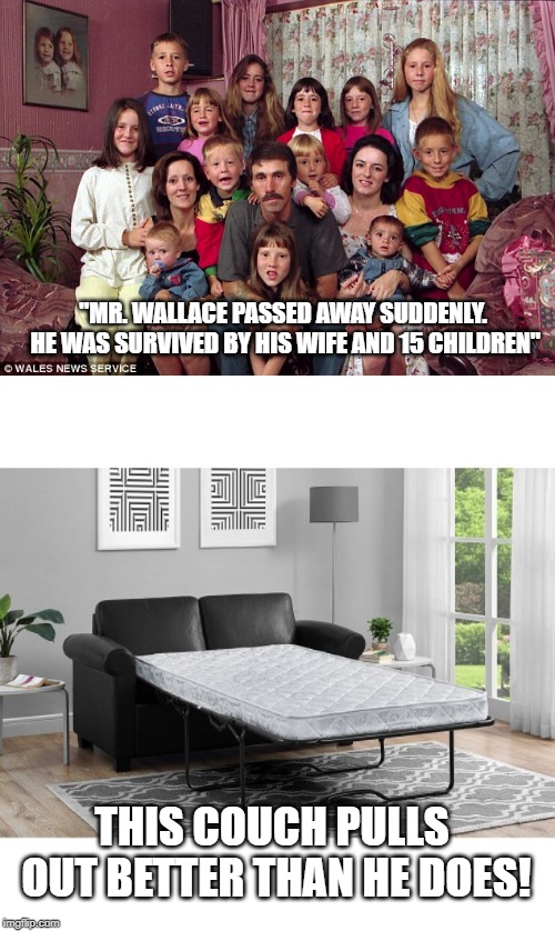 That's a lot of kids | "MR. WALLACE PASSED AWAY SUDDENLY. HE WAS SURVIVED BY HIS WIFE AND 15 CHILDREN"; THIS COUCH PULLS OUT BETTER THAN HE DOES! | image tagged in kids | made w/ Imgflip meme maker