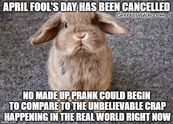 April Fools Day Meme / Some Favorite April Fools Day ...