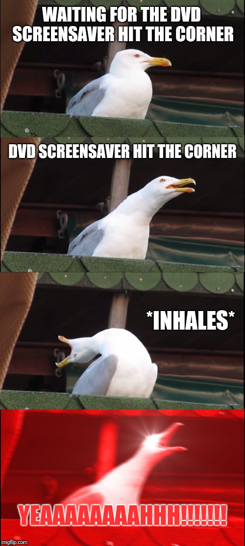 Inhaling Seagull | WAITING FOR THE DVD SCREENSAVER HIT THE CORNER; DVD SCREENSAVER HIT THE CORNER; *INHALES*; YEAAAAAAAAHHH!!!!!!! | image tagged in memes,inhaling seagull | made w/ Imgflip meme maker
