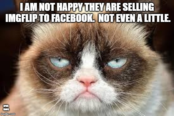 Selling IMGFLIP to facebook. | I AM NOT HAPPY THEY ARE SELLING IMGFLIP TO FACEBOOK.  NOT EVEN A LITTLE. APRIL FOOLS | image tagged in not funny,facebook problems,angry cat,imgflip | made w/ Imgflip meme maker