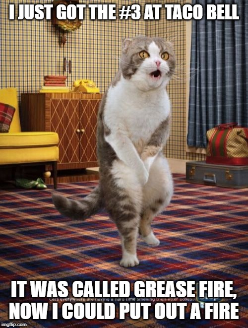 Gotta Go Cat Meme | I JUST GOT THE #3 AT TACO BELL; IT WAS CALLED GREASE FIRE, NOW I COULD PUT OUT A FIRE | image tagged in memes,gotta go cat | made w/ Imgflip meme maker