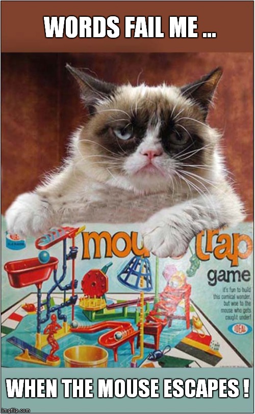 Grumpys' Mouse Trap Woes | WORDS FAIL ME ... WHEN THE MOUSE ESCAPES ! | image tagged in cats,grumpy cat | made w/ Imgflip meme maker