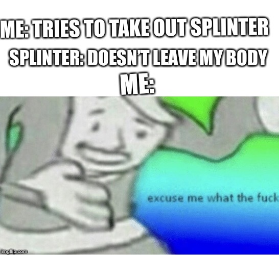 Excuse me wtf blank template | ME: TRIES TO TAKE OUT SPLINTER; SPLINTER: DOESN’T LEAVE MY BODY; ME: | image tagged in excuse me wtf blank template | made w/ Imgflip meme maker