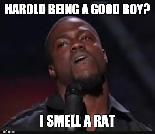 Kevin Hart | HAROLD BEING A GOOD BOY? I SMELL A RAT | image tagged in kevin hart | made w/ Imgflip meme maker