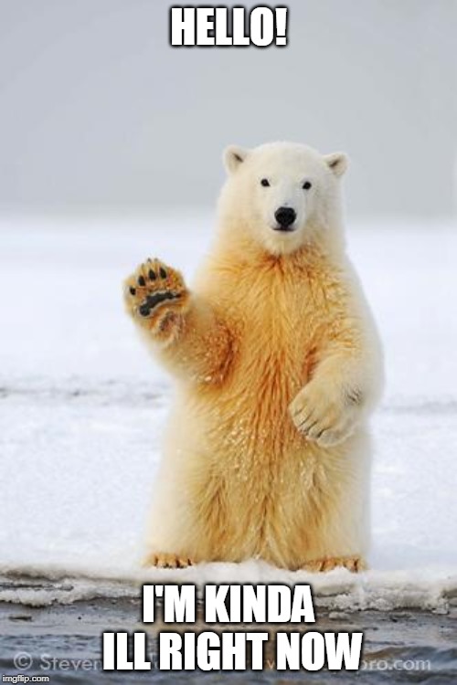 hello polar bear | HELLO! I'M KINDA ILL RIGHT NOW | image tagged in hello polar bear | made w/ Imgflip meme maker