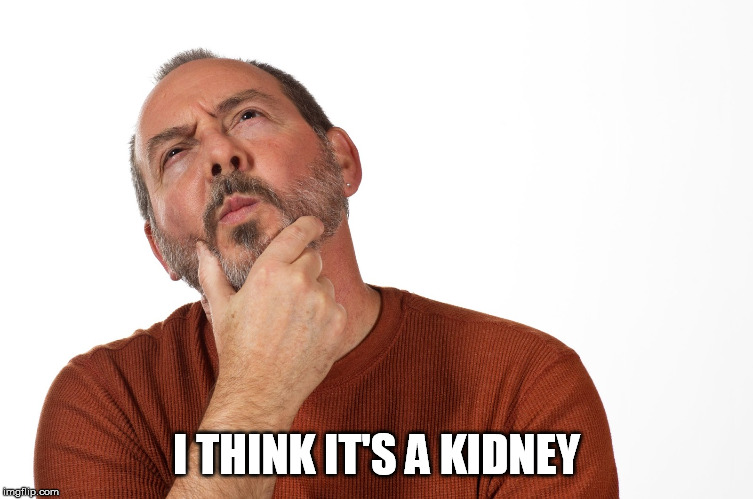 I THINK IT'S A KIDNEY | made w/ Imgflip meme maker
