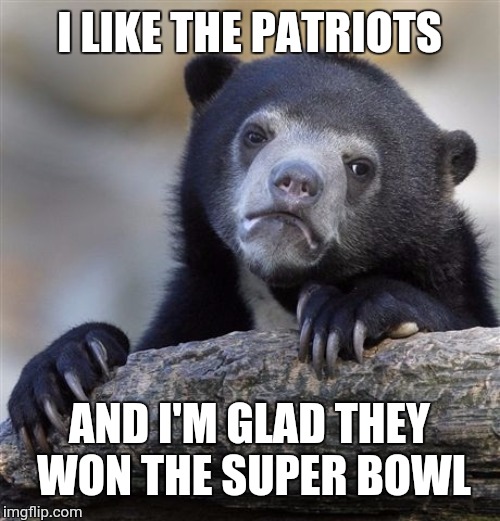 Confession Bear Meme | I LIKE THE PATRIOTS; AND I'M GLAD THEY WON THE SUPER BOWL | image tagged in memes,confession bear | made w/ Imgflip meme maker