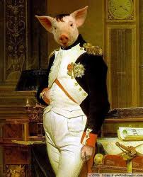 Napoleon Pig Blank Meme Template