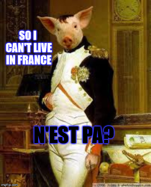 Napoleon Pig | SO I CAN'T LIVE IN FRANCE N'EST PA? | image tagged in napoleon pig | made w/ Imgflip meme maker