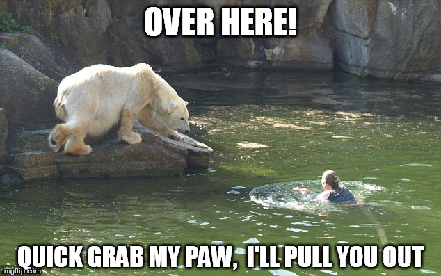 OVER HERE! QUICK GRAB MY PAW,  I'LL PULL YOU OUT | made w/ Imgflip meme maker