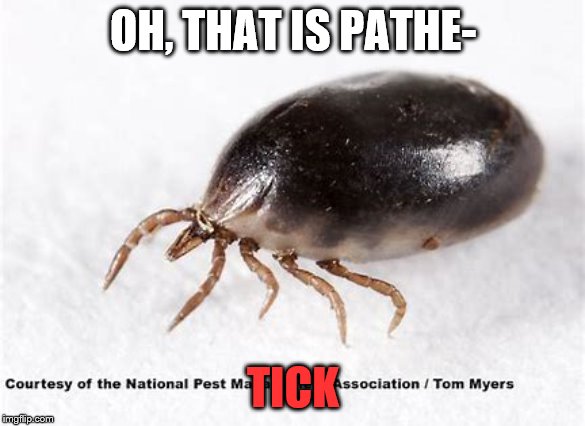 OH, THAT IS PATHE-; TICK | image tagged in memes | made w/ Imgflip meme maker