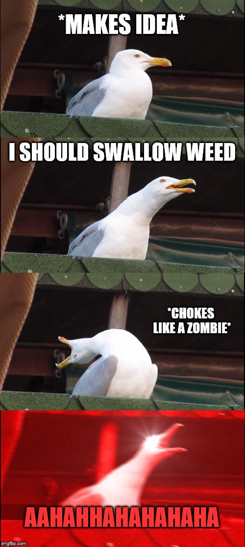 Inhaling Seagull | *MAKES IDEA*; I SHOULD SWALLOW
WEED; *CHOKES LIKE A ZOMBIE*; AAHAHHAHAHAHAHA | image tagged in memes,inhaling seagull | made w/ Imgflip meme maker