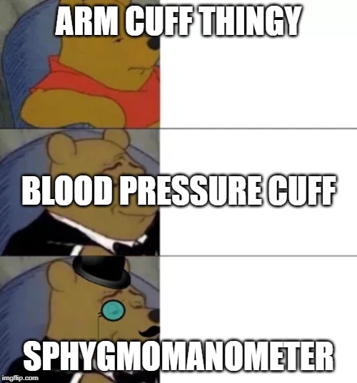 Fancy pooh | ARM CUFF THINGY; BLOOD PRESSURE CUFF; SPHYGMOMANOMETER | image tagged in fancy pooh,medicalschool | made w/ Imgflip meme maker