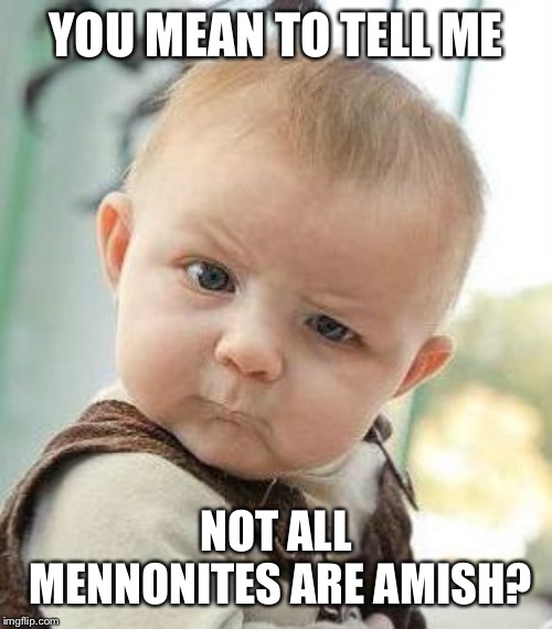 Confused Baby | YOU MEAN TO TELL ME; NOT ALL MENNONITES ARE AMISH? | image tagged in confused baby | made w/ Imgflip meme maker