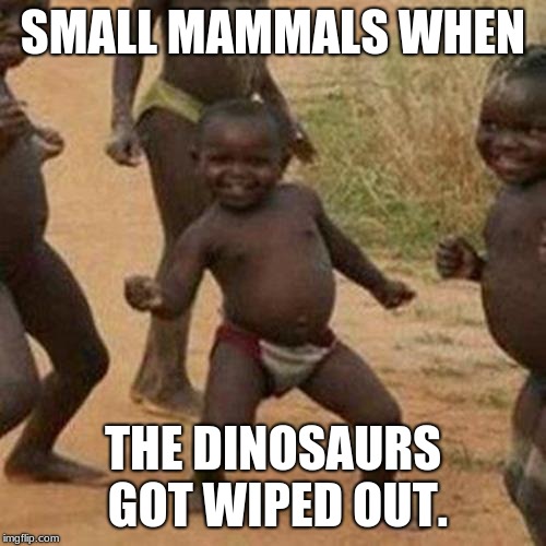 Third World Success Kid Meme | SMALL MAMMALS WHEN; THE DINOSAURS GOT WIPED OUT. | image tagged in memes,third world success kid | made w/ Imgflip meme maker